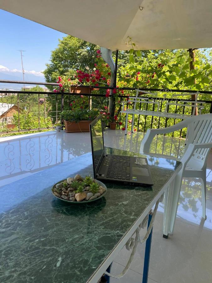 Nino'S Veranda Apartment Telavi Eksteriør billede