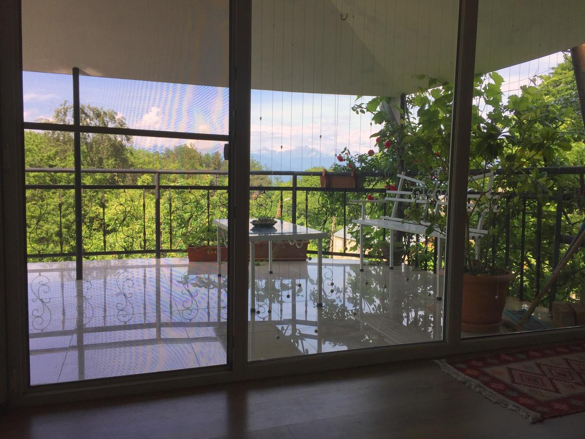 Nino'S Veranda Apartment Telavi Eksteriør billede